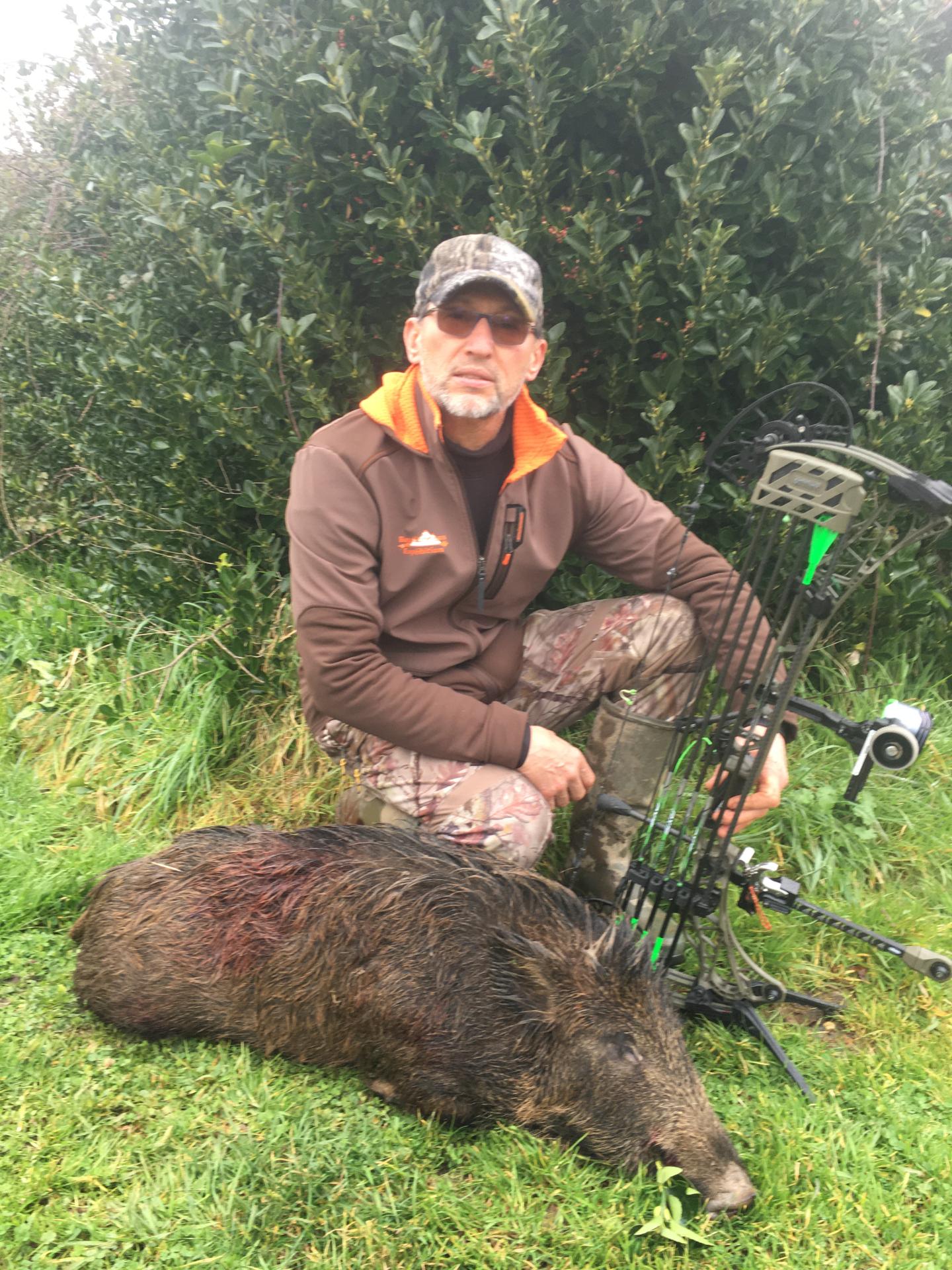 Un sanglier sur la côte